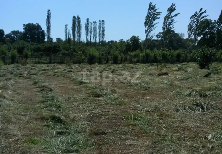 0 m² Obyekt / Ofis , Nabran