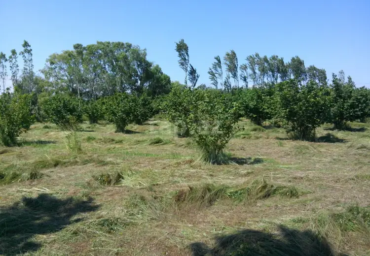 0 m² Obyekt / Ofis , Nabran