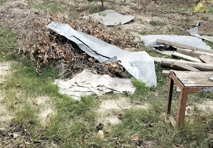 0 m² Obyekt / Ofis , Saray, Abşeron