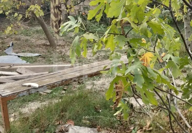 0 m² Obyekt / Ofis , Saray, Abşeron