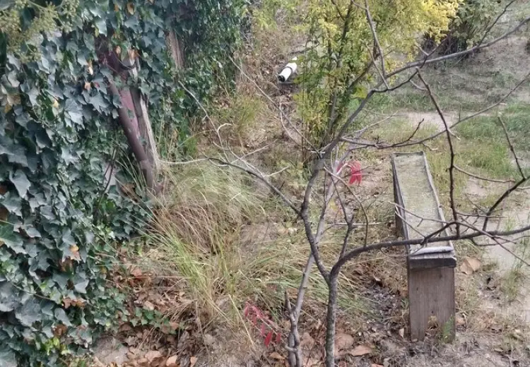0 m² Obyekt / Ofis , Saray, Abşeron