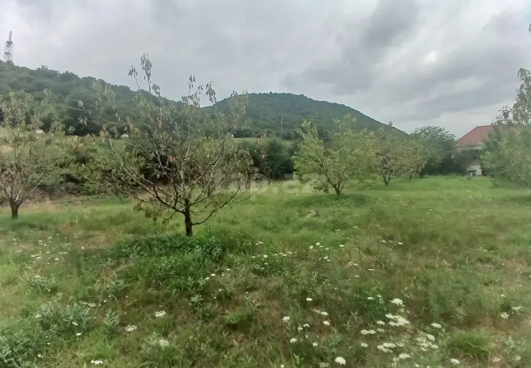 0 m² Obyekt / Ofis , Quba