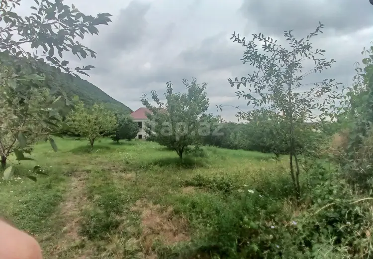 0 m² Obyekt / Ofis , Quba
