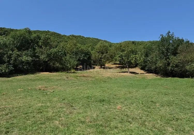 42.1 sot Torpaq Satılır, Şamaxı