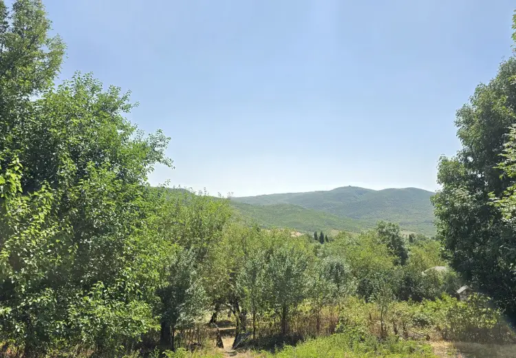 42.1 sot Torpaq Satılır, Şamaxı