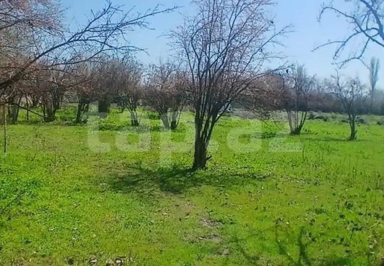 0 m² Obyekt / Ofis , Ağdaş