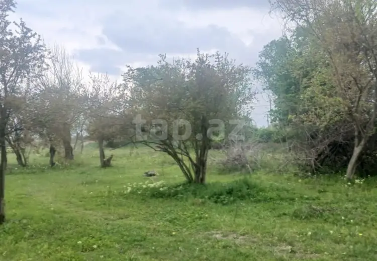 0 m² Obyekt / Ofis , Ağdaş