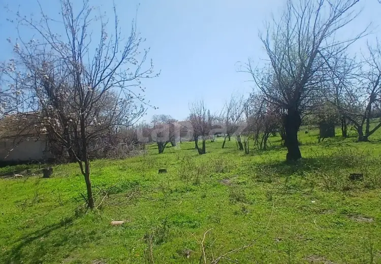 0 m² Obyekt / Ofis , Ağdaş