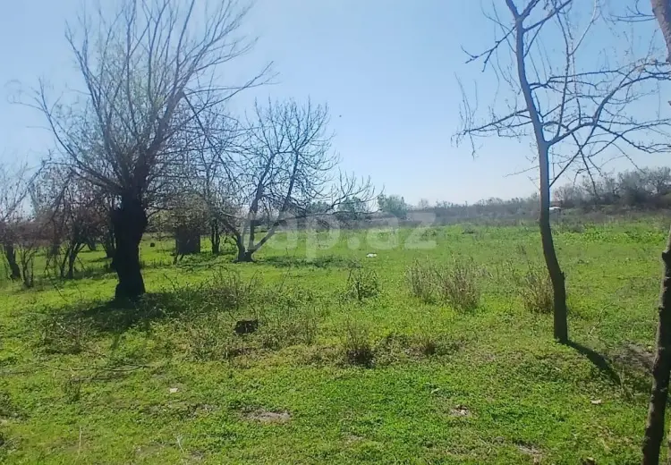 0 m² Obyekt / Ofis , Ağdaş