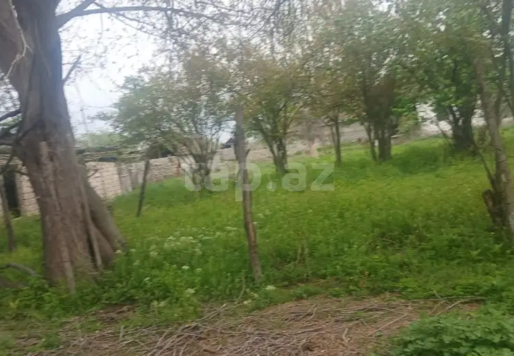 0 m² Obyekt / Ofis , Ağdaş