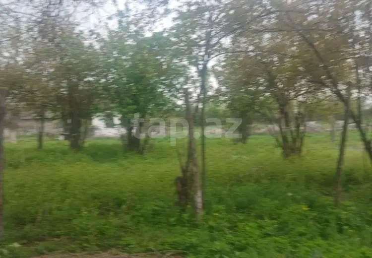 0 m² Obyekt / Ofis , Ağdaş
