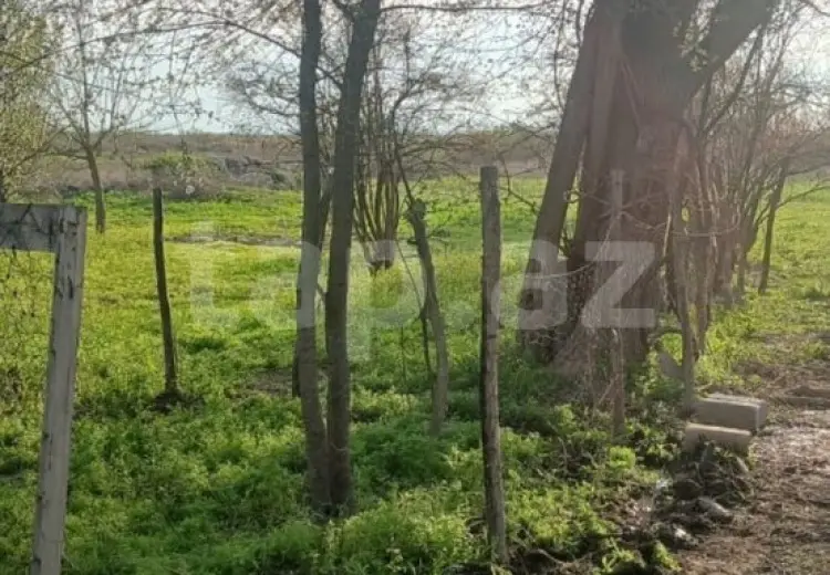 0 m² Obyekt / Ofis , Ağdaş