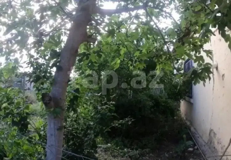 2 otaqlı mənzil , Xaçmaz