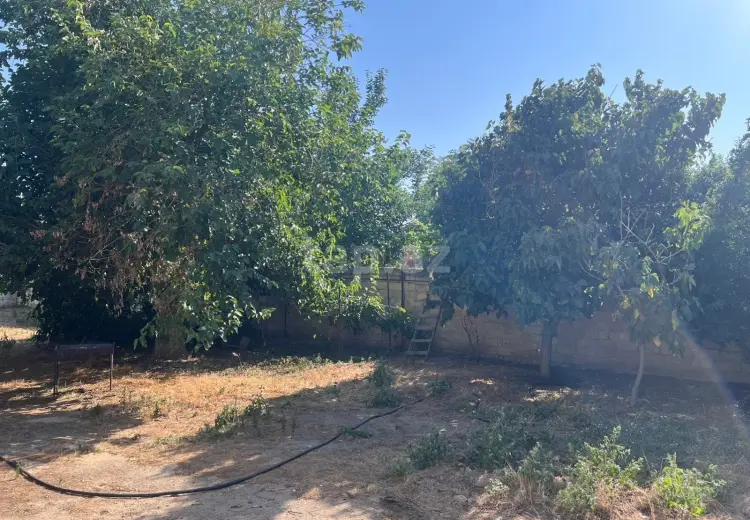 0 m² Obyekt / Ofis , Sabunçu, Bakı
