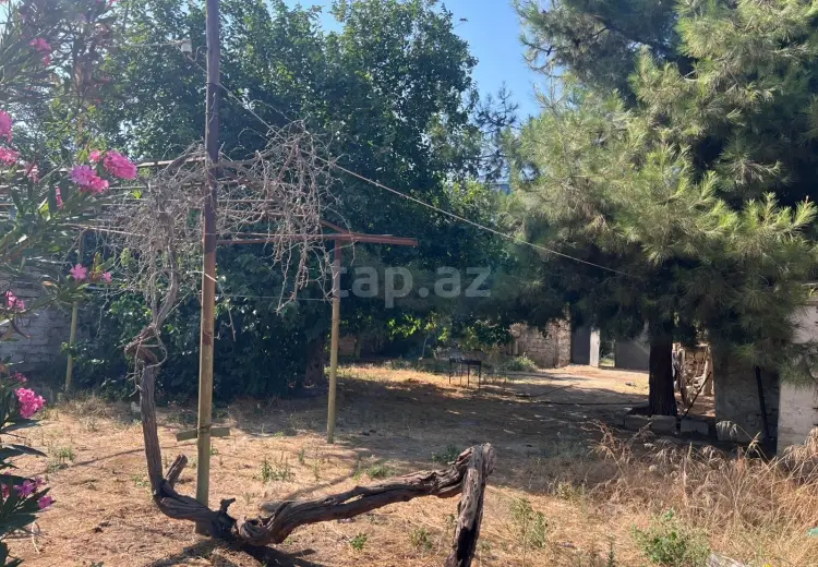 0 m² Obyekt / Ofis , Sabunçu, Bakı