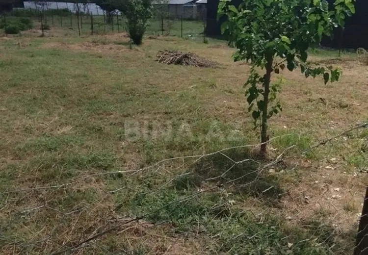 5 sot Torpaq Satılır, Qəbələ