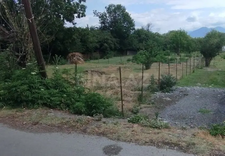 5 sot Torpaq Satılır, Qəbələ