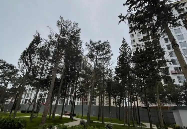 320 m² Obyekt / Ofis Kirayə (aylıq), Yasamal qəs., Yasamal, Bakı