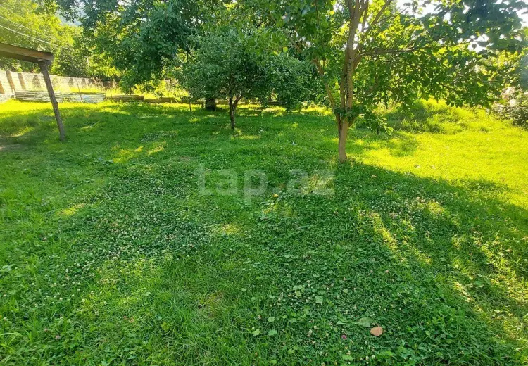0 m² Obyekt / Ofis , Qəbələ