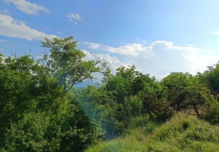 22 sot Torpaq Satılır, Quba