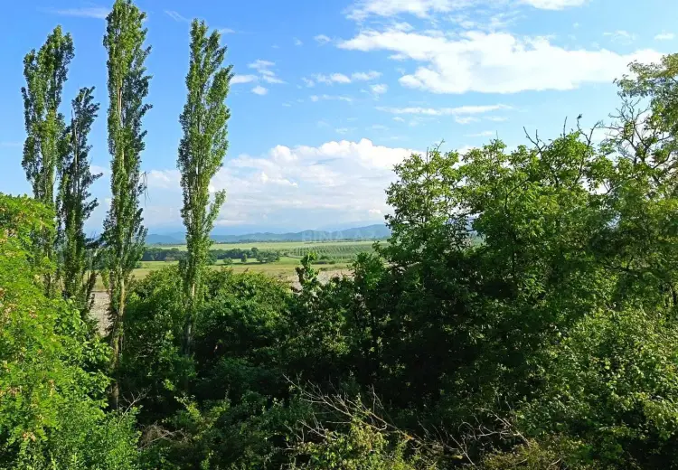 22 sot Torpaq Satılır, Quba