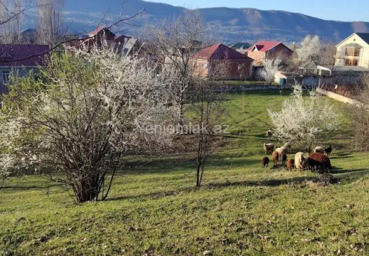 26 sot Torpaq Satılır, Quba