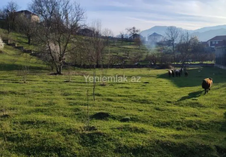 26 sot Torpaq Satılır, Quba