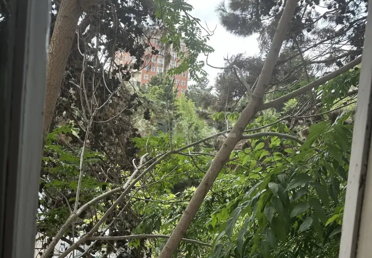 2 otaqlı mənzil , Bakı