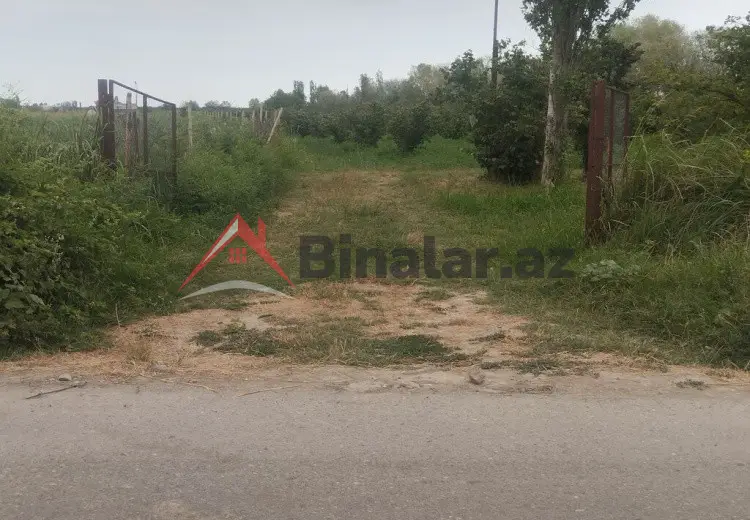 157 sot Torpaq Satılır, Xaçmaz