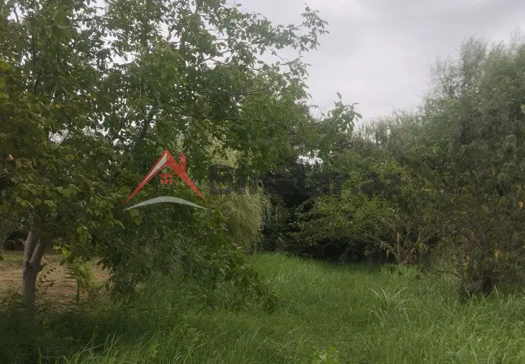 157 sot Torpaq Satılır, Xaçmaz