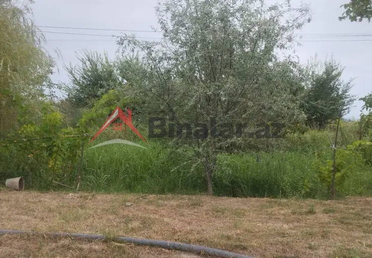 157 sot Torpaq Satılır, Xaçmaz