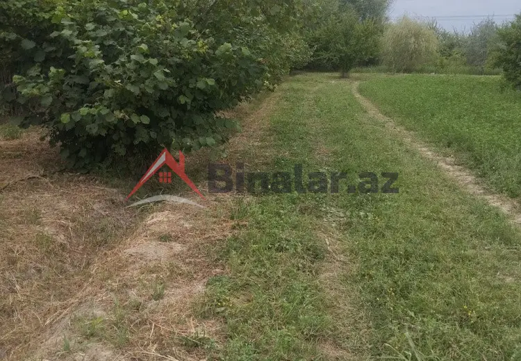 157 sot Torpaq Satılır, Xaçmaz
