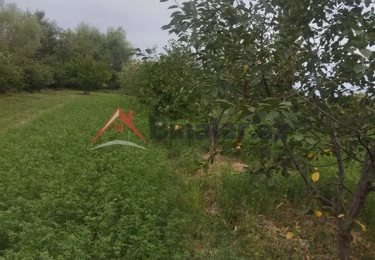 157 sot Torpaq Satılır, Xaçmaz