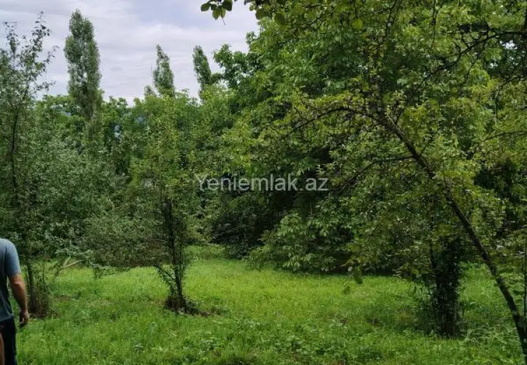 12 sot Torpaq Satılır, Quba