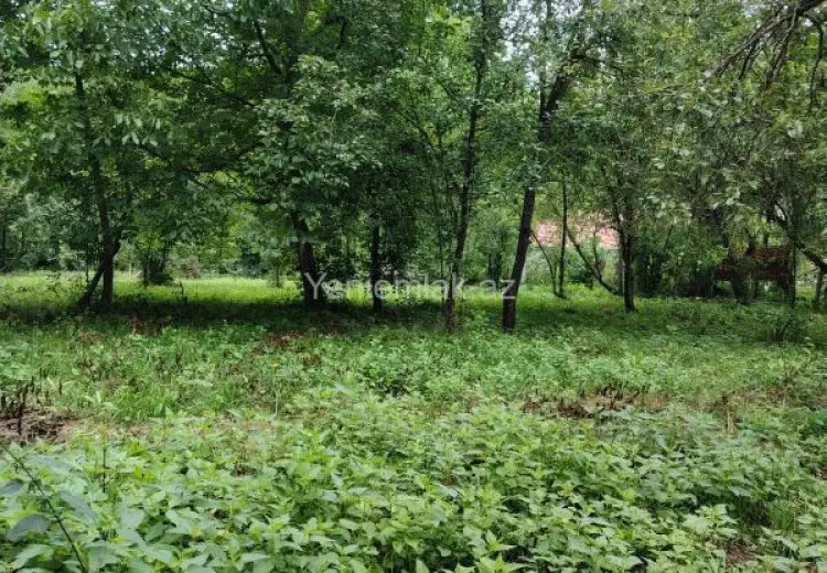 12 sot Torpaq Satılır, Quba