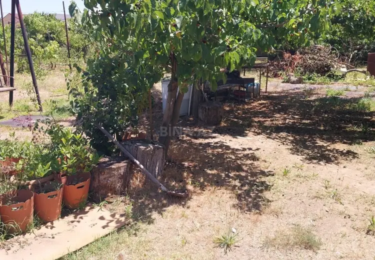 17.5 sot Torpaq Satılır, Sabunçu, Bakı