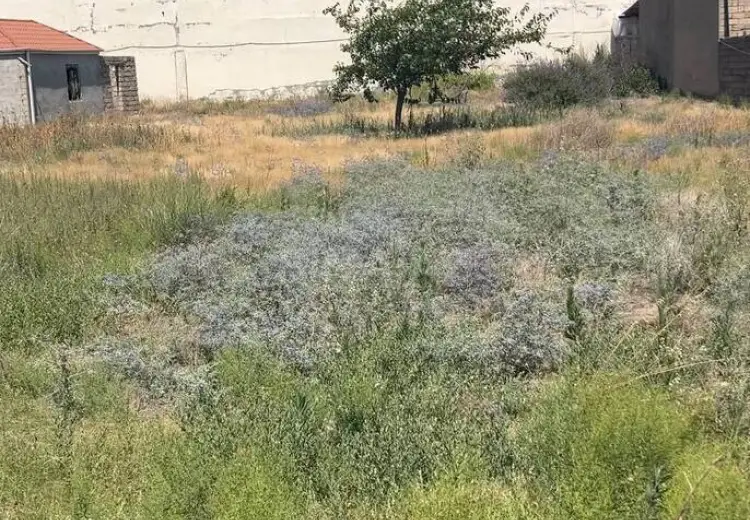 15.3 sot Torpaq Satılır, Buzovna, Xəzər, Bakı