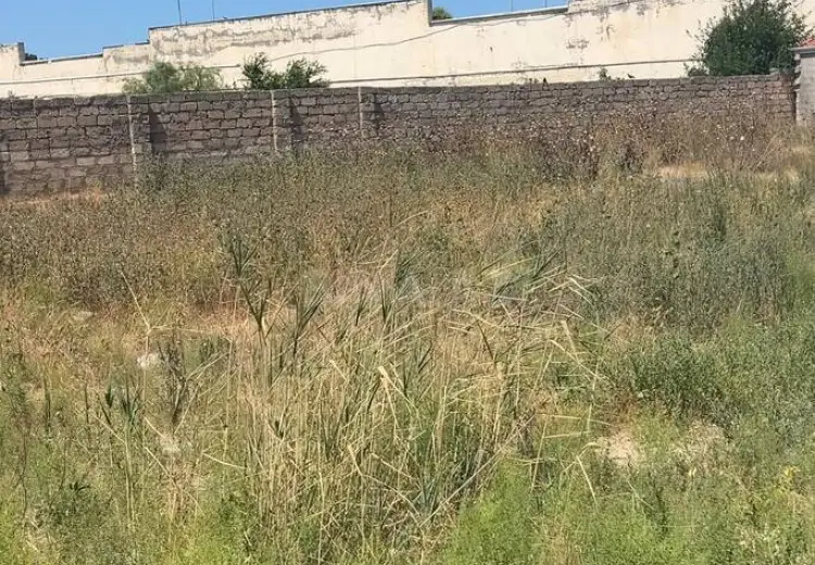 15.3 sot Torpaq Satılır, Buzovna, Xəzər, Bakı