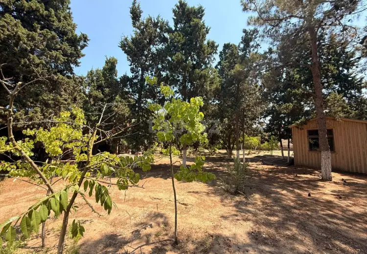 0 m² Obyekt / Ofis , Mərdəkan, Xəzər, Bakı