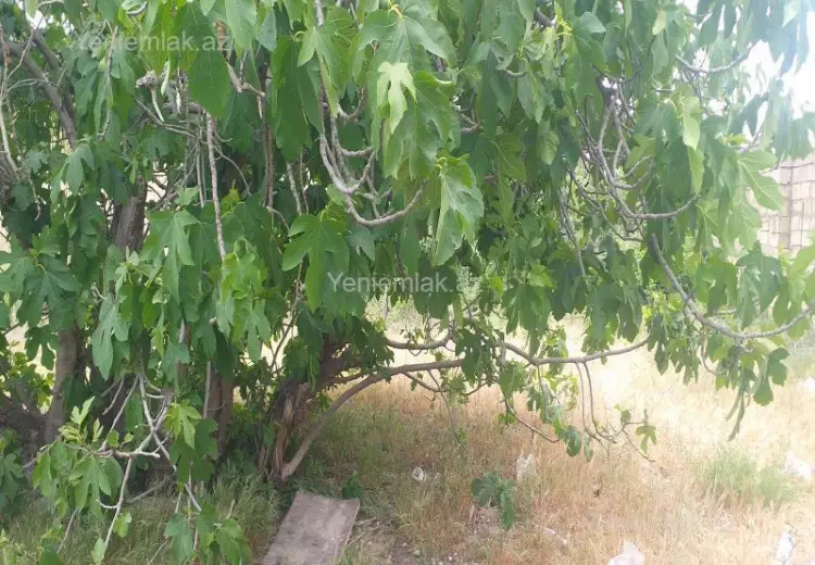 6 sot Torpaq Satılır, Sumqayıt