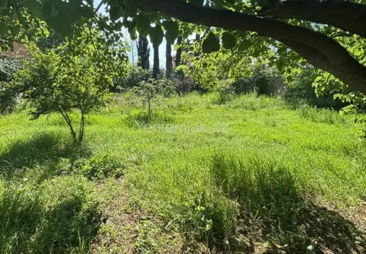 6 sot Torpaq Satılır, Sumqayıt