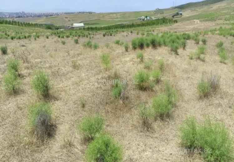 82 sot Torpaq Satılır, Mehdiabad, Abşeron