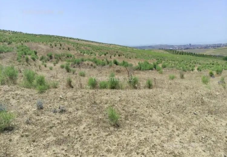 82 sot Torpaq Satılır, Mehdiabad, Abşeron