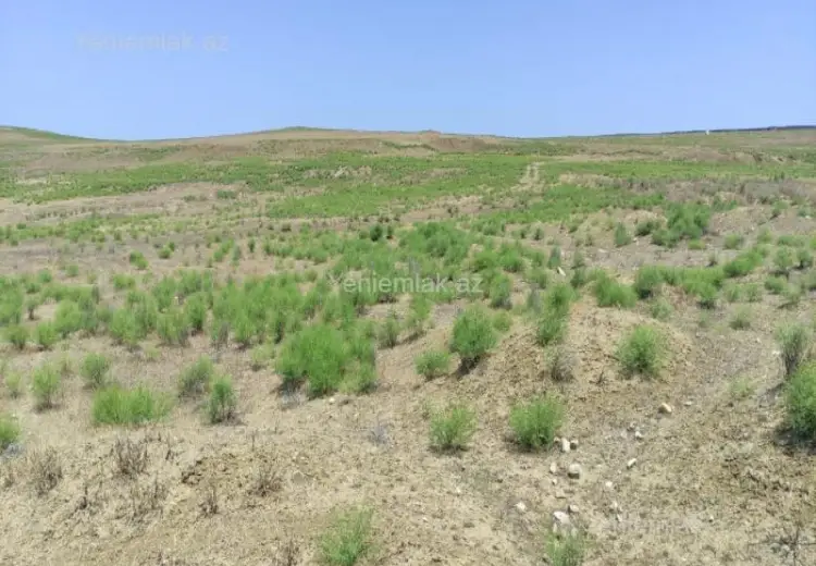 82 sot Torpaq Satılır, Mehdiabad, Abşeron