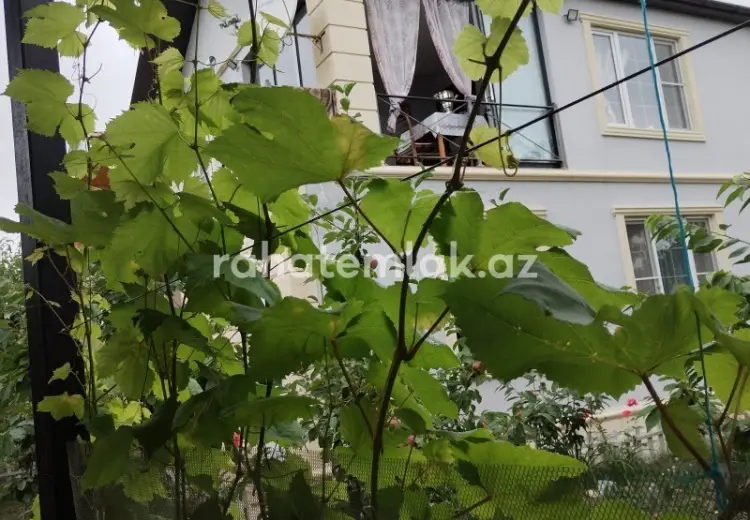 3 otaqlı mənzil Satılır, Qusar