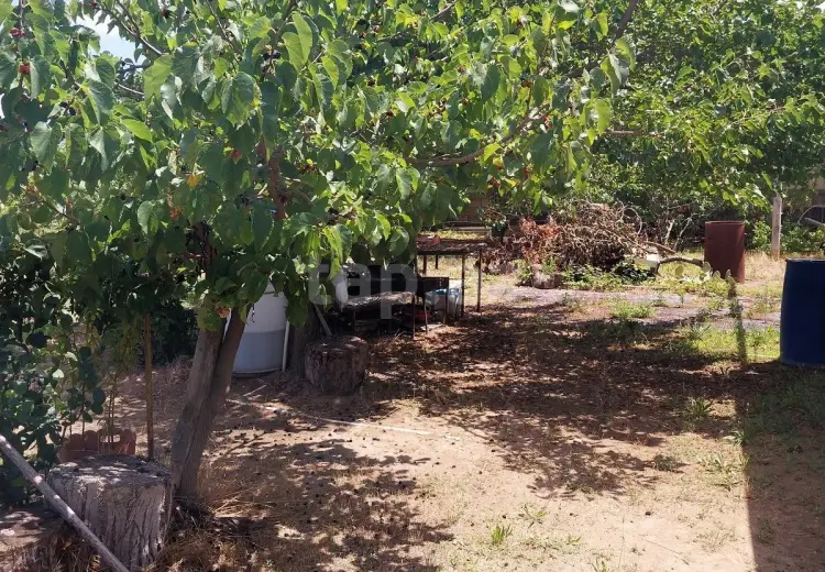 0 m² Obyekt / Ofis , Albalı qəs., Sabunçu, Bakı