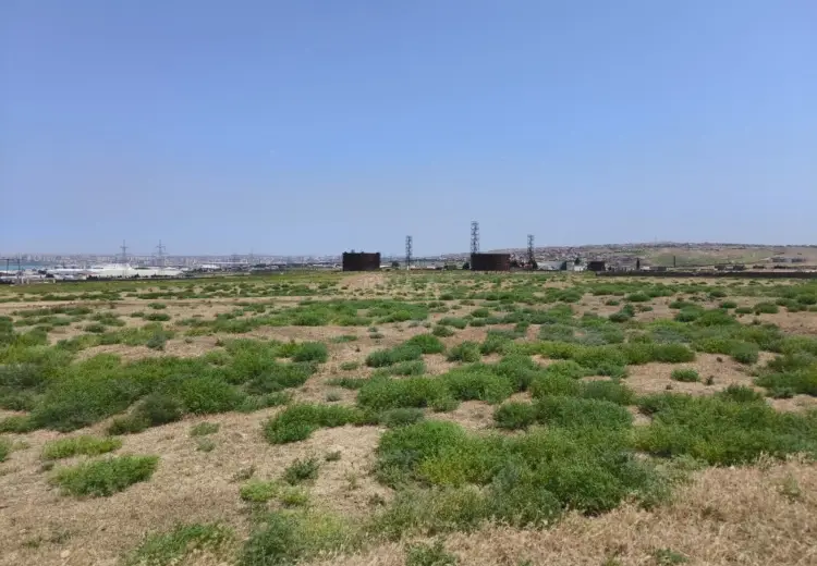 780 sot Torpaq Satılır, Hökməli, Abşeron