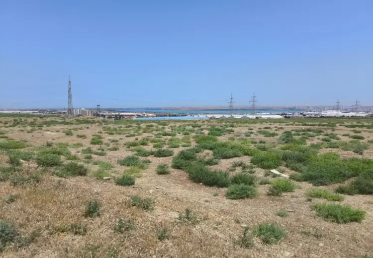 780 sot Torpaq Satılır, Hökməli, Abşeron
