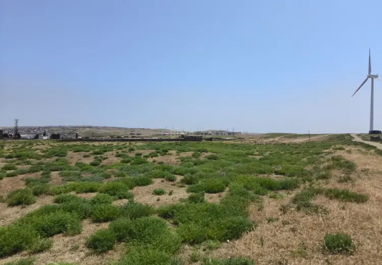 780 sot Torpaq Satılır, Hökməli, Abşeron