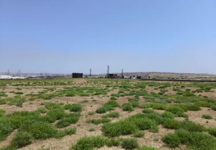 780 sot Torpaq Satılır, Hökməli, Abşeron